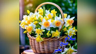 جملات سلام صبح بخیر زیبا + فیلم