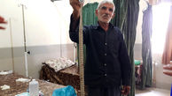 جدال مرد روستایی با مار بزرگ در لنده + عکس 