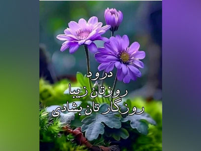 فال ابجد فردا 17 خرداد 