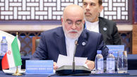 ناصر سراج: ایران قربانی بزرگ تروریسم است
